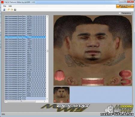FIFA 12 Texture Editor V 0.5